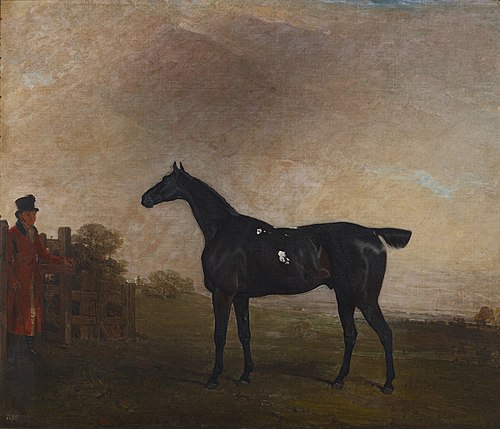 A Black Horse, 1794, Benjamin Marshall