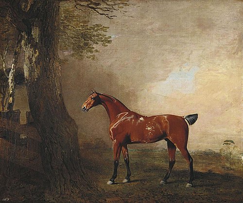 Tiger, 1794, Benjamin Marshall