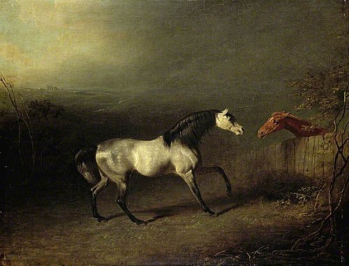 A Grey Arab, , Benjamin Marshall