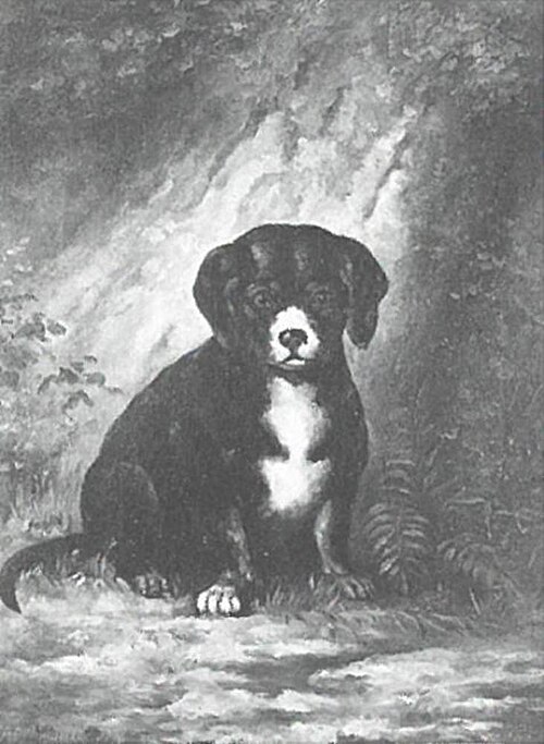 Puppy, 1891, Piet Mondrian