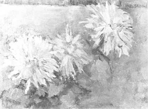 Three chrysanthemum blossoms, 1899, Piet Mondrian