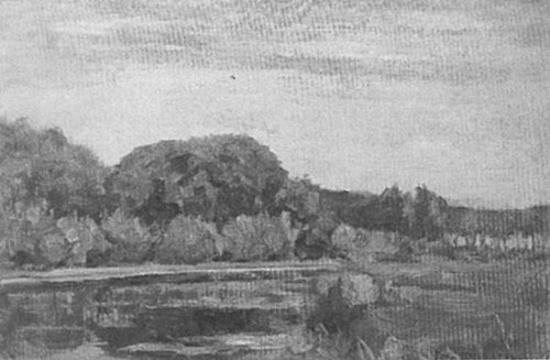 Geinrust farm surrounded by dense foliage, 1905, Piet Mondrian