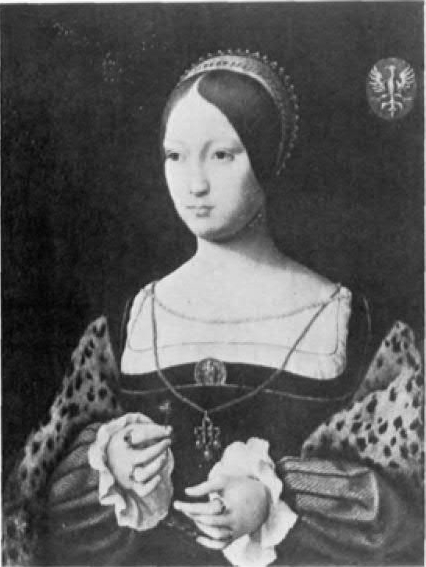 Portrait of a young woman, 1524, Joos van Cleve
