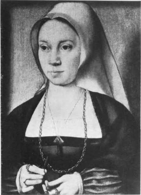 Portrait of a Lady Holding a Rosary and a Plant, 1515, Joos van Cleve