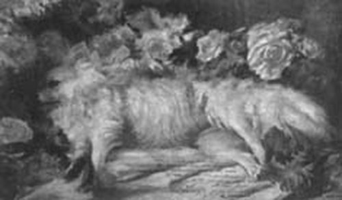 (Cachorro morto), 1916, Rodolfo Amoedo