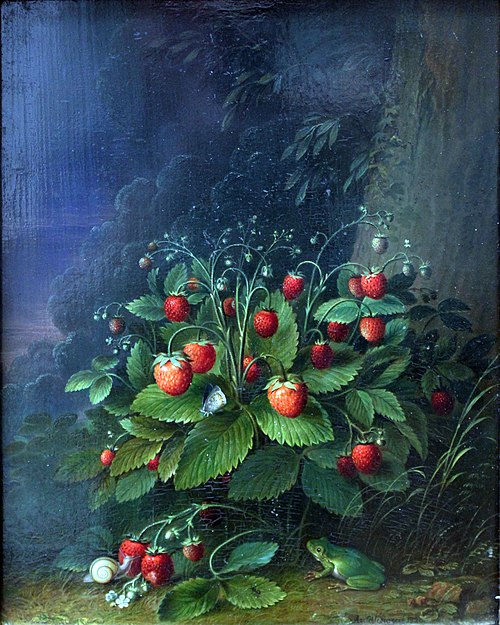Strawberries, 1820, Johann Adam Schlesinger