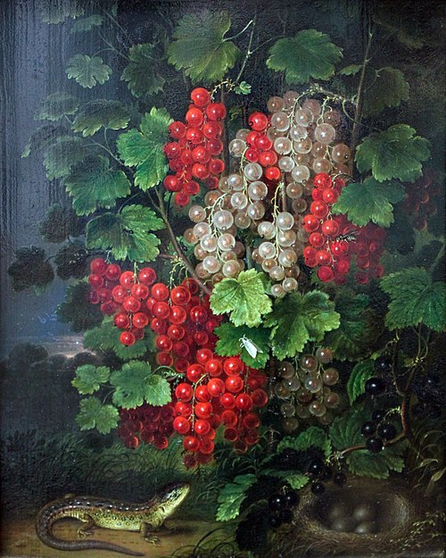 Redcurrants, 1820, Johann Adam Schlesinger