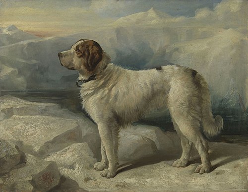Gabbas, 1845, Thomas Musgrave Joy