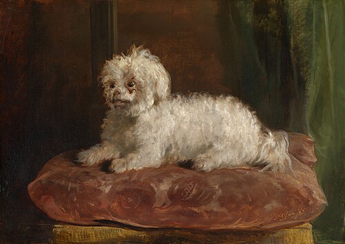 Chico, 1845, Thomas Musgrave Joy