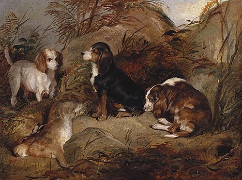 Duster, Wagtail and Dandy, 1843, Thomas Musgrave Joy