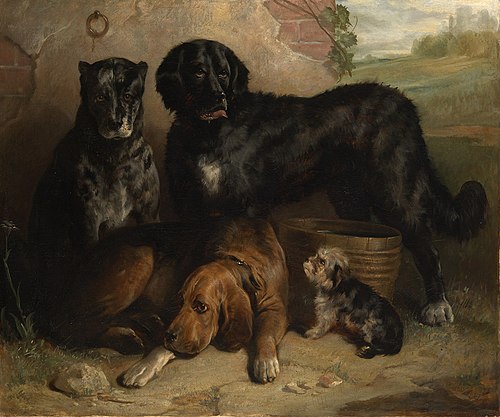 Four dogs: "Vulcan","Nelson","Hotspur" and"Briach", 1845, Thomas Musgrave Joy
