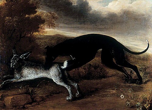 Greyhound and Hare, 1697, Leender Knyff