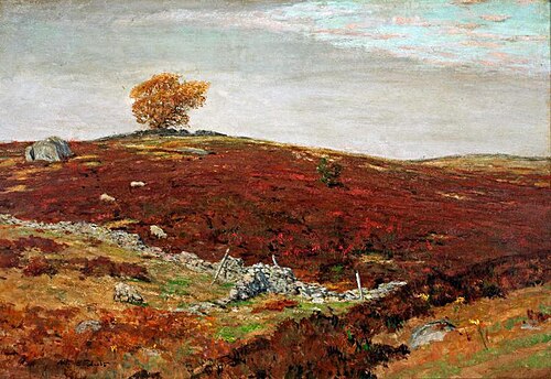 Barberry Field, Lyme, Connecticut, 1897, Allen Butler Talcott