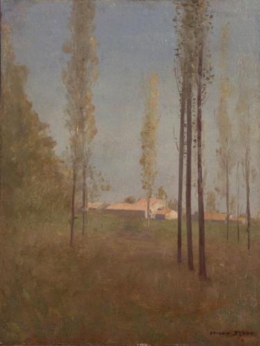 Peupliers à Peyrelebade, , Odilon Redon