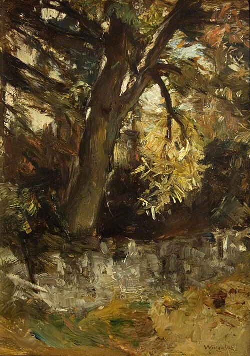 Study of a Tree, , James Lawton Wingate