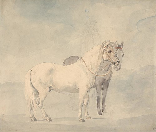 William Beckford's Ponies, , William Hamilton