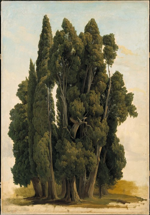 Cypresses. Study, 1843, Gustaf Wilhelm Palm