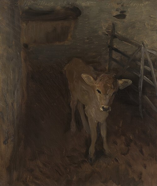 A Jersey Calf, 1893, John Singer Sargent