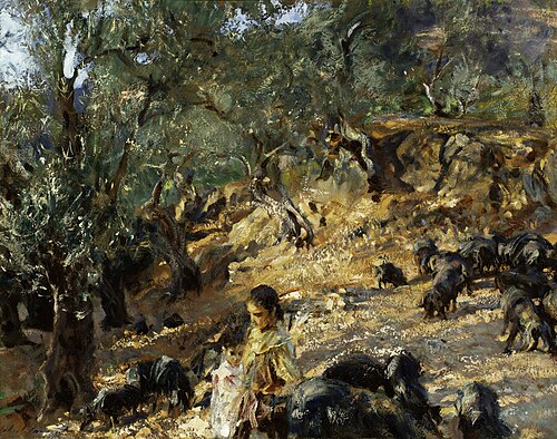 Under the Olives, 1908, John Singer Sargent