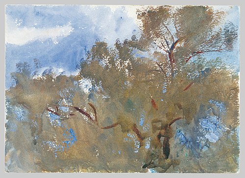 Treetops against Sky, 1909, John Singer Sargent