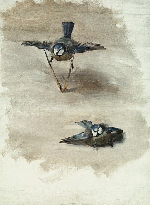 Studies of a Dead Bird, 1878, John Singer Sargent