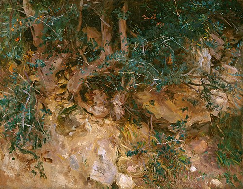 Valdemosa, Majorca: Thistles and Herbage on a Hillside, 1908, John Singer Sargent