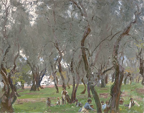 The Olive Grove, , John Singer Sargent