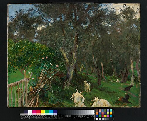 Olives in Corfu, 1909, John Singer Sargent