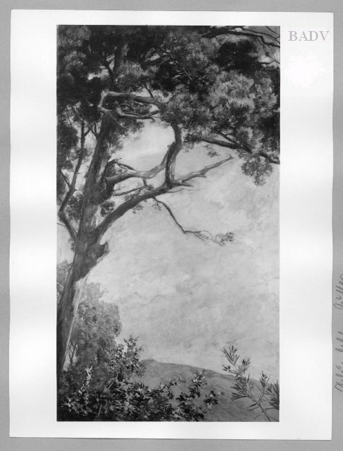 Landscape with a fir, 1891, Gustav Schönleber