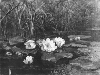 Waterlilies, 1868, Gerardina Jacoba van de Sande 