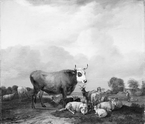 Cattle in the Field, 1663, Albert Klomp