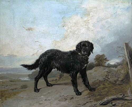 Black Retriever in a Landscape, , Richard Ansdell