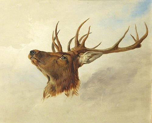 Head of a Stag (profile to left), 1841, Richard Ansdell