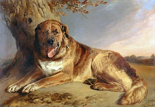 A Mastiff, 1841, Richard Ansdell