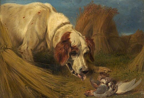 Dog and a Dead Partridge, 1850, Richard Ansdell