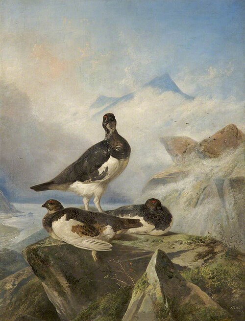 Grey Ptarmigan, 1867, Richard Ansdell