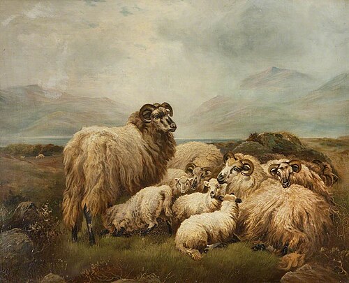 Sheep, 1869, Richard Ansdell