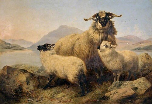 Sheep and Lambs, 1874, Richard Ansdell