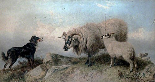 Sheep and a Collie, 1876, Richard Ansdell
