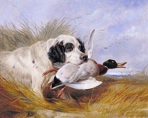 Dog with a Wild Duck, , Richard Ansdell