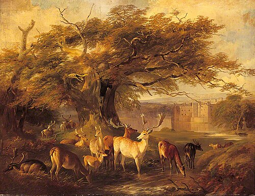 Fallow Deer Watering, , Richard Ansdell