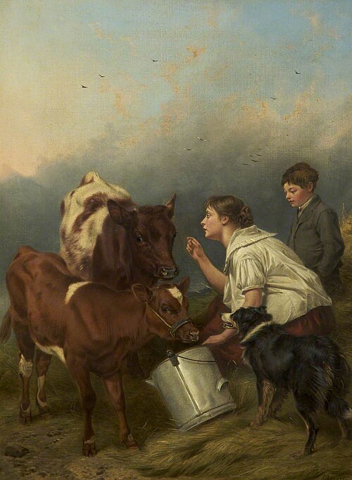 The Favoured Calf, 1877, Richard Ansdell