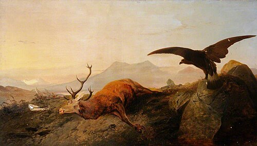 Dead Stag, , Richard Ansdell