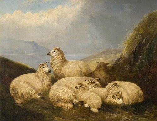 Sheep, , Richard Ansdell