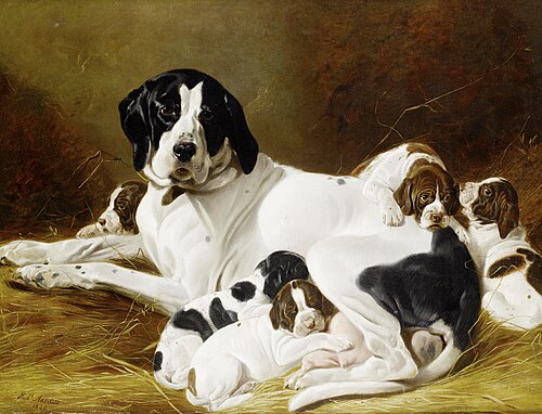 The new litter, , Richard Ansdell