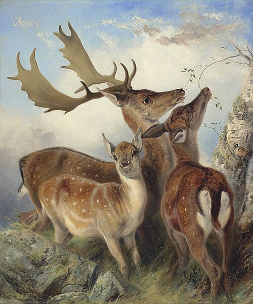 Fallow deer, 1855, Richard Ansdell