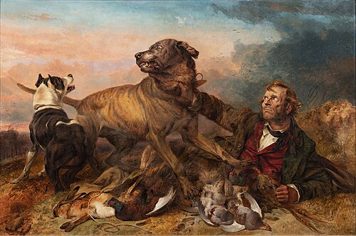 The Poacher at Bay, 1865, Richard Ansdell