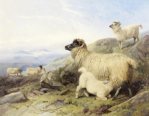 Sheep on a mountainside, 1856, Richard Ansdell
