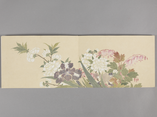 董诰花卉图册, , Dong Gao