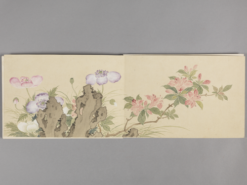 董诰花卉图册, , Dong Gao